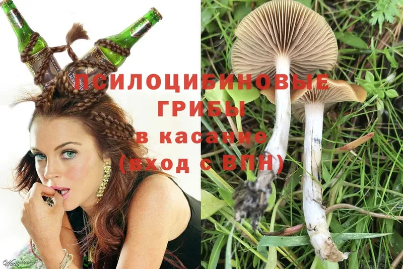 Галлюциногенные грибы Magic Shrooms  Красный Сулин 